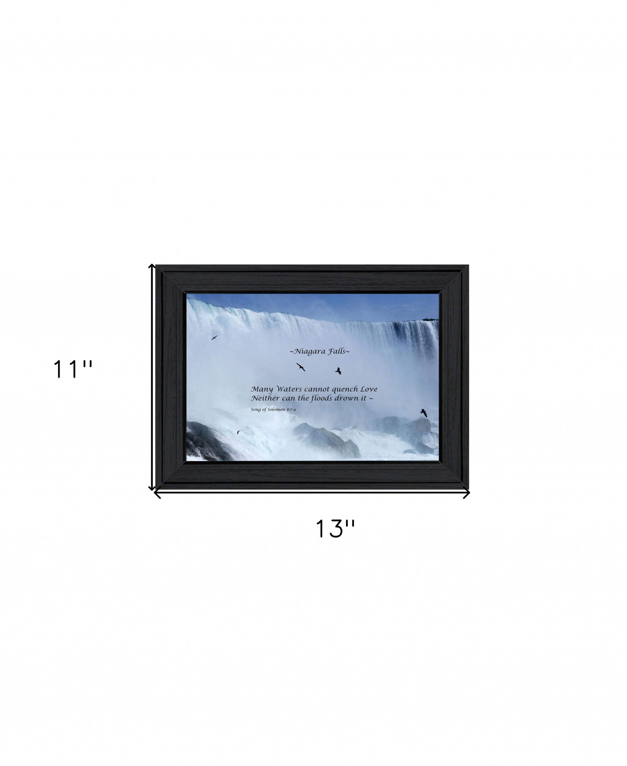 Song of Solomon Black Framed Print Wall Art - Homeroots - Flyclothing LLC