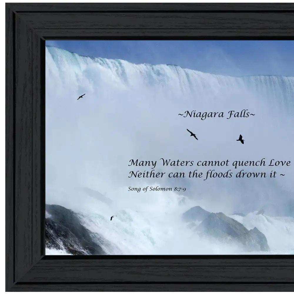 Song of Solomon Black Framed Print Wall Art - Homeroots - Flyclothing LLC