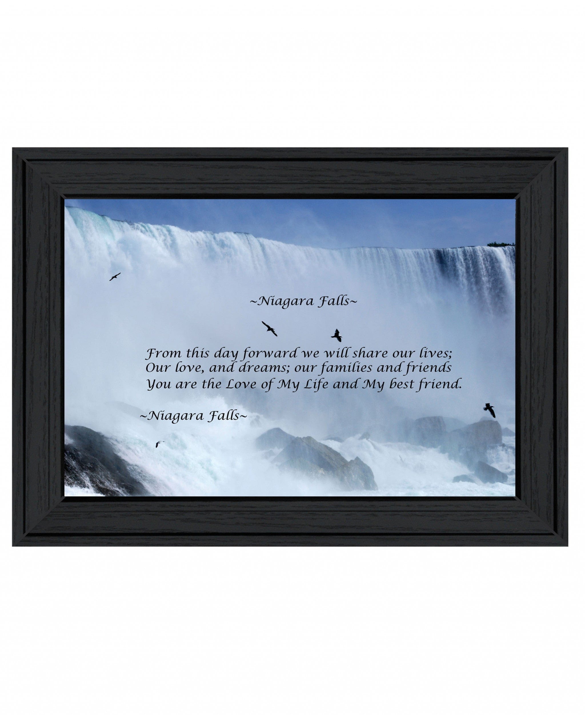 Niagara Falls Black Framed Print Wall Art - Homeroots