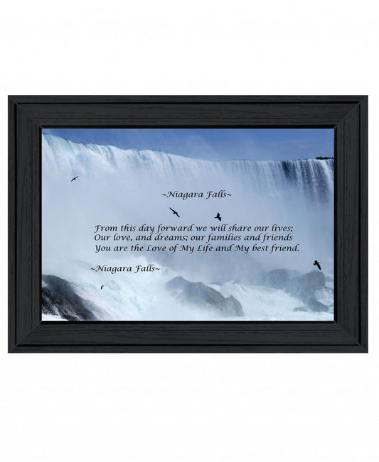 Niagara Falls Black Framed Print Wall Art - Homeroots