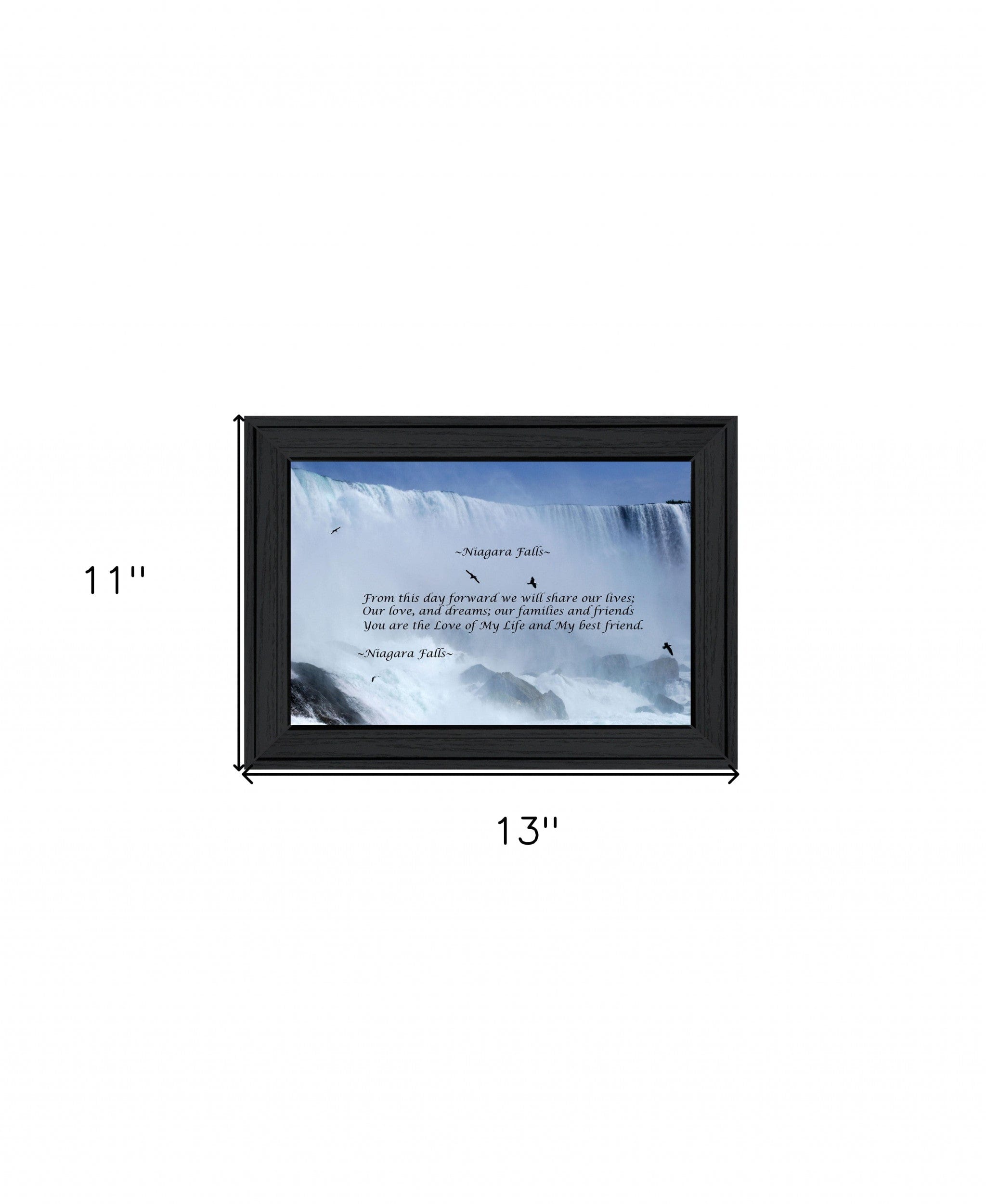 Niagara Falls Black Framed Print Wall Art - Homeroots