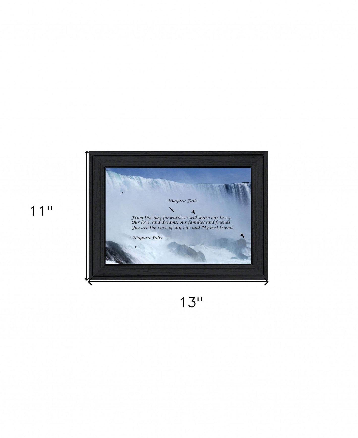 Niagara Falls Black Framed Print Wall Art - Homeroots - Flyclothing LLC