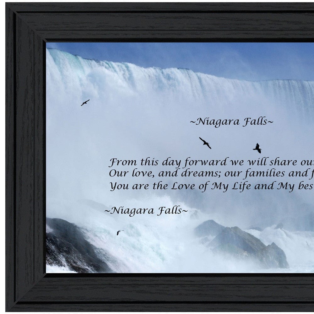 Niagara Falls Black Framed Print Wall Art - Homeroots