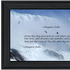Niagara Falls Black Framed Print Wall Art - Homeroots
