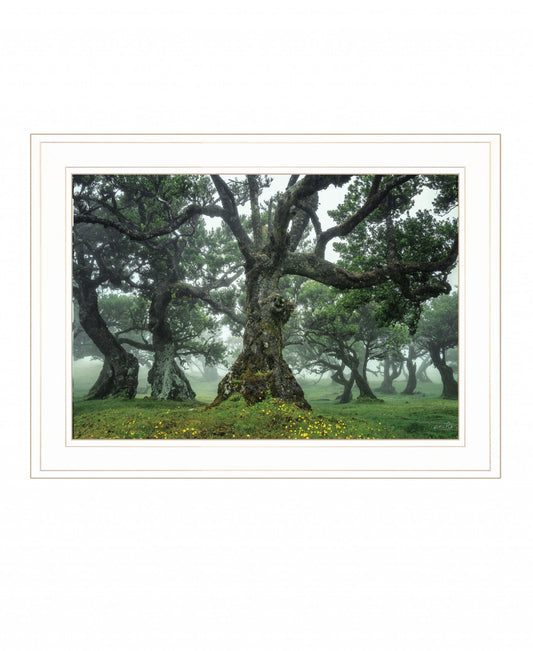 Enchanted Forest I 2 White Framed Print Wall Art - Homeroots