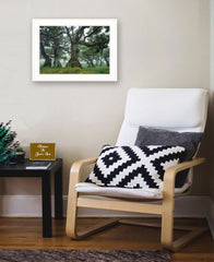 Enchanted Forest I 2 White Framed Print Wall Art - Homeroots
