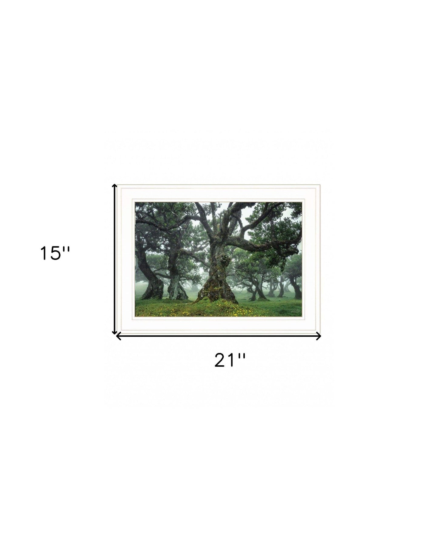 Enchanted Forest I 2 White Framed Print Wall Art - Homeroots - Flyclothing LLC