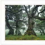 Enchanted Forest I 2 White Framed Print Wall Art - Homeroots - Flyclothing LLC