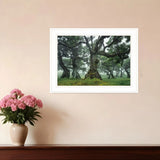 Enchanted Forest I 2 White Framed Print Wall Art - Homeroots
