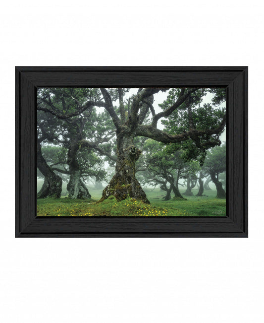 Enchanted Forest I 3 Black Framed Print Wall Art - Homeroots