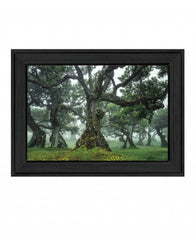Enchanted Forest I 3 Black Framed Print Wall Art - Homeroots