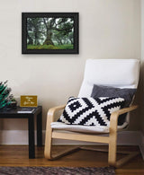 Enchanted Forest I 3 Black Framed Print Wall Art - Homeroots - Flyclothing LLC