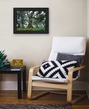 Enchanted Forest I 3 Black Framed Print Wall Art - Homeroots - Flyclothing LLC