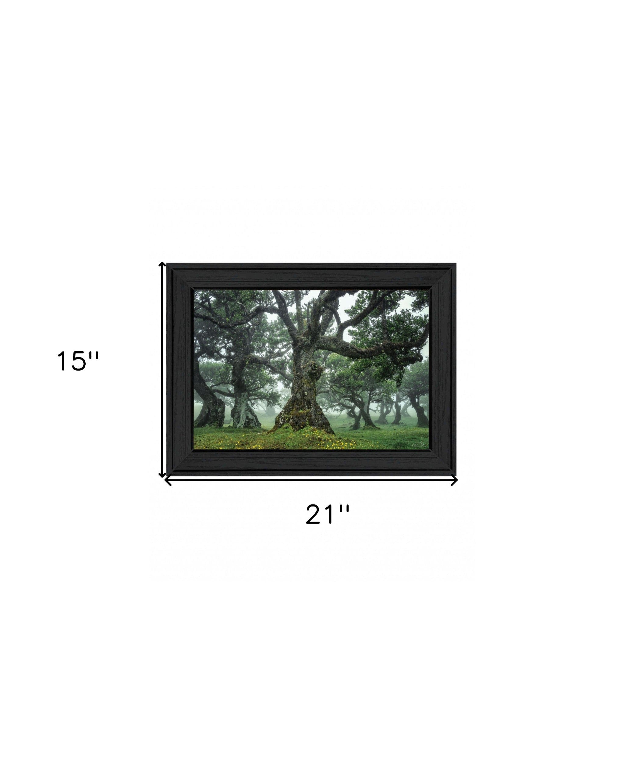 Enchanted Forest I 3 Black Framed Print Wall Art - Homeroots