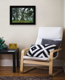 Enchanted Forest I 4 Black Framed Print Wall Art - Homeroots - Flyclothing LLC