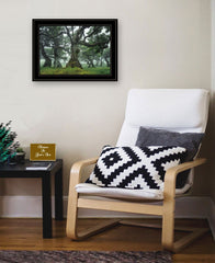 Enchanted Forest I 4 Black Framed Print Wall Art - Homeroots