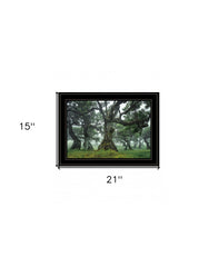 Enchanted Forest I 4 Black Framed Print Wall Art - Homeroots