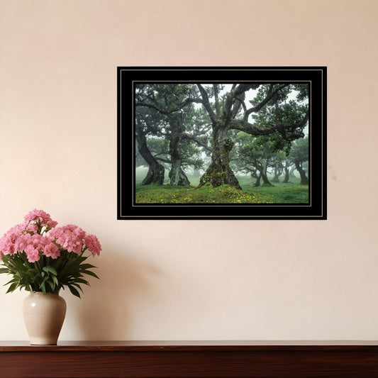 Enchanted Forest I 4 Black Framed Print Wall Art - Homeroots