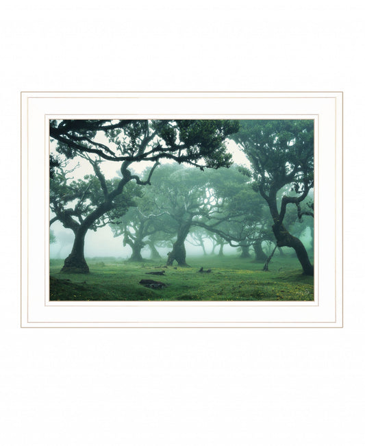 Enchanted Forest II 2 White Framed Print Wall Art - Homeroots