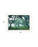 Enchanted Forest II 2 White Framed Print Wall Art - Homeroots - Flyclothing LLC