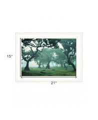 Enchanted Forest II 2 White Framed Print Wall Art - Homeroots