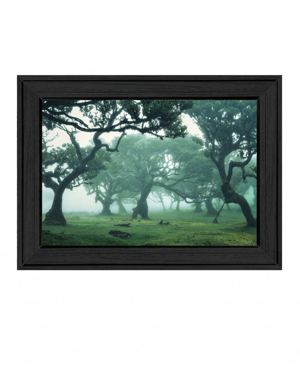Enchanted Forest II 3 Black Framed Print Wall Art - Homeroots - Flyclothing LLC