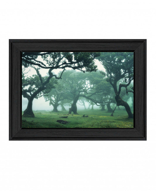 Enchanted Forest II 3 Black Framed Print Wall Art - Homeroots