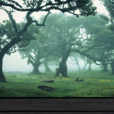 Enchanted Forest II 3 Black Framed Print Wall Art - Homeroots - Flyclothing LLC
