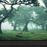 Enchanted Forest II 3 Black Framed Print Wall Art - Homeroots