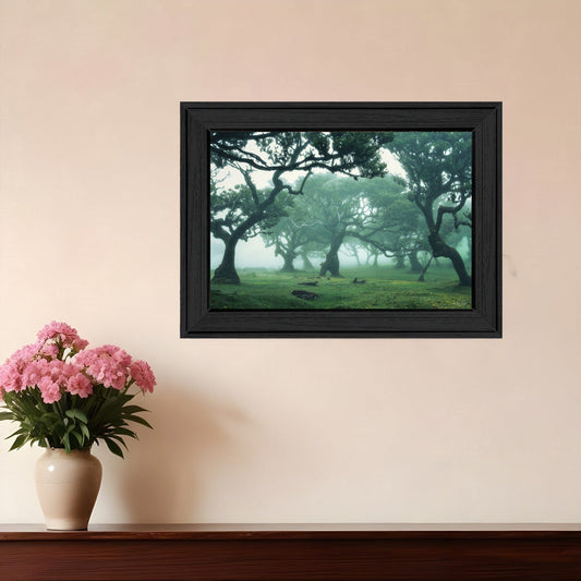 Enchanted Forest II 3 Black Framed Print Wall Art - Homeroots