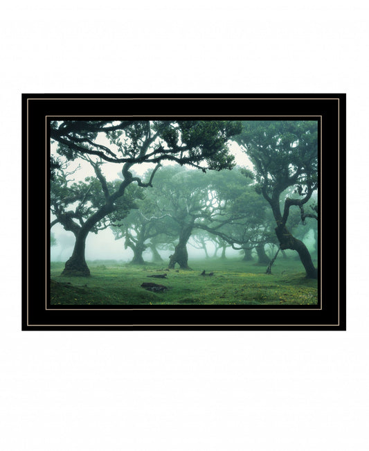 Enchanted Forest II 4 Black Framed Print Wall Art - Homeroots