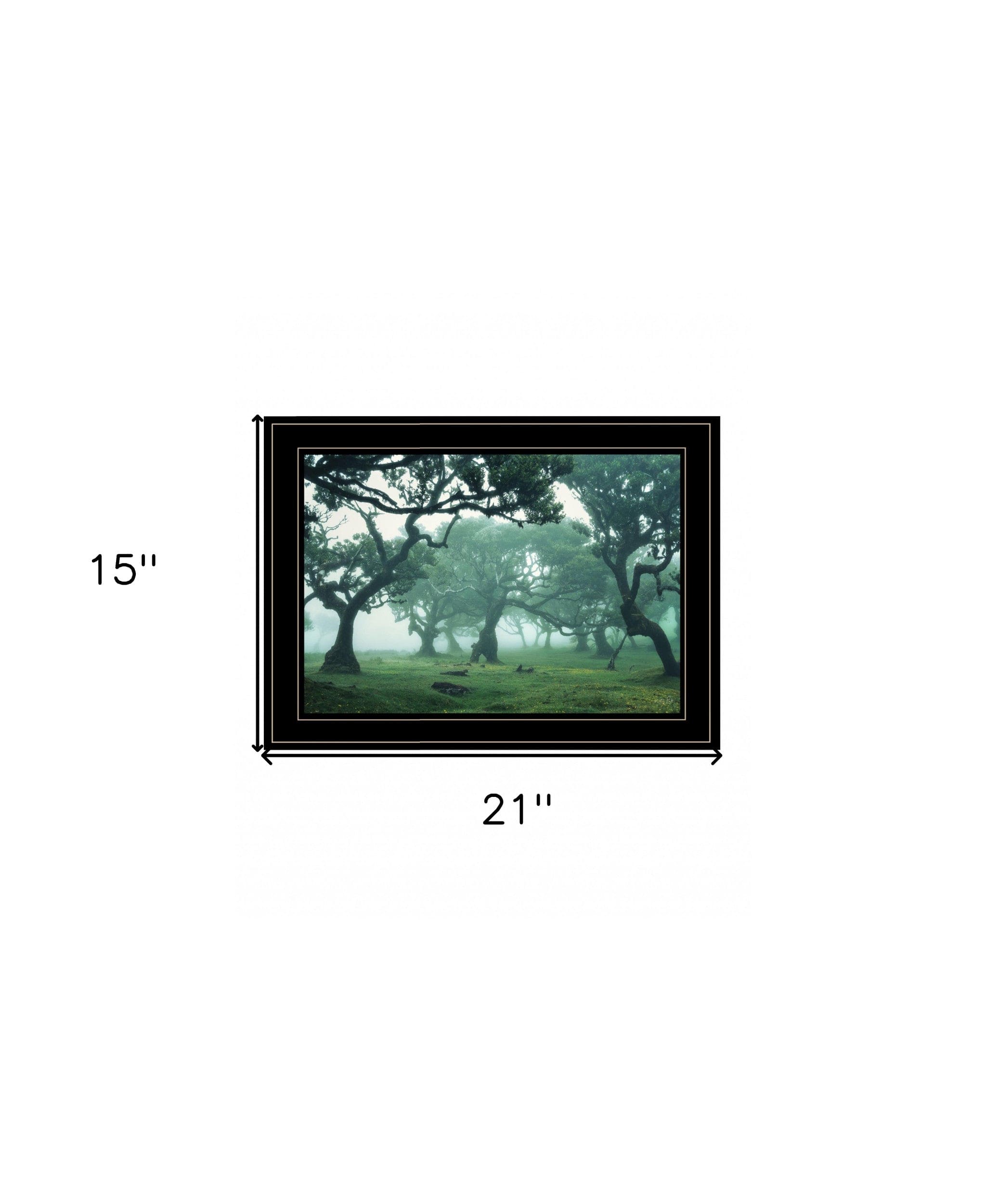 Enchanted Forest II 4 Black Framed Print Wall Art - Homeroots