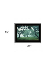 Enchanted Forest II 4 Black Framed Print Wall Art - Homeroots
