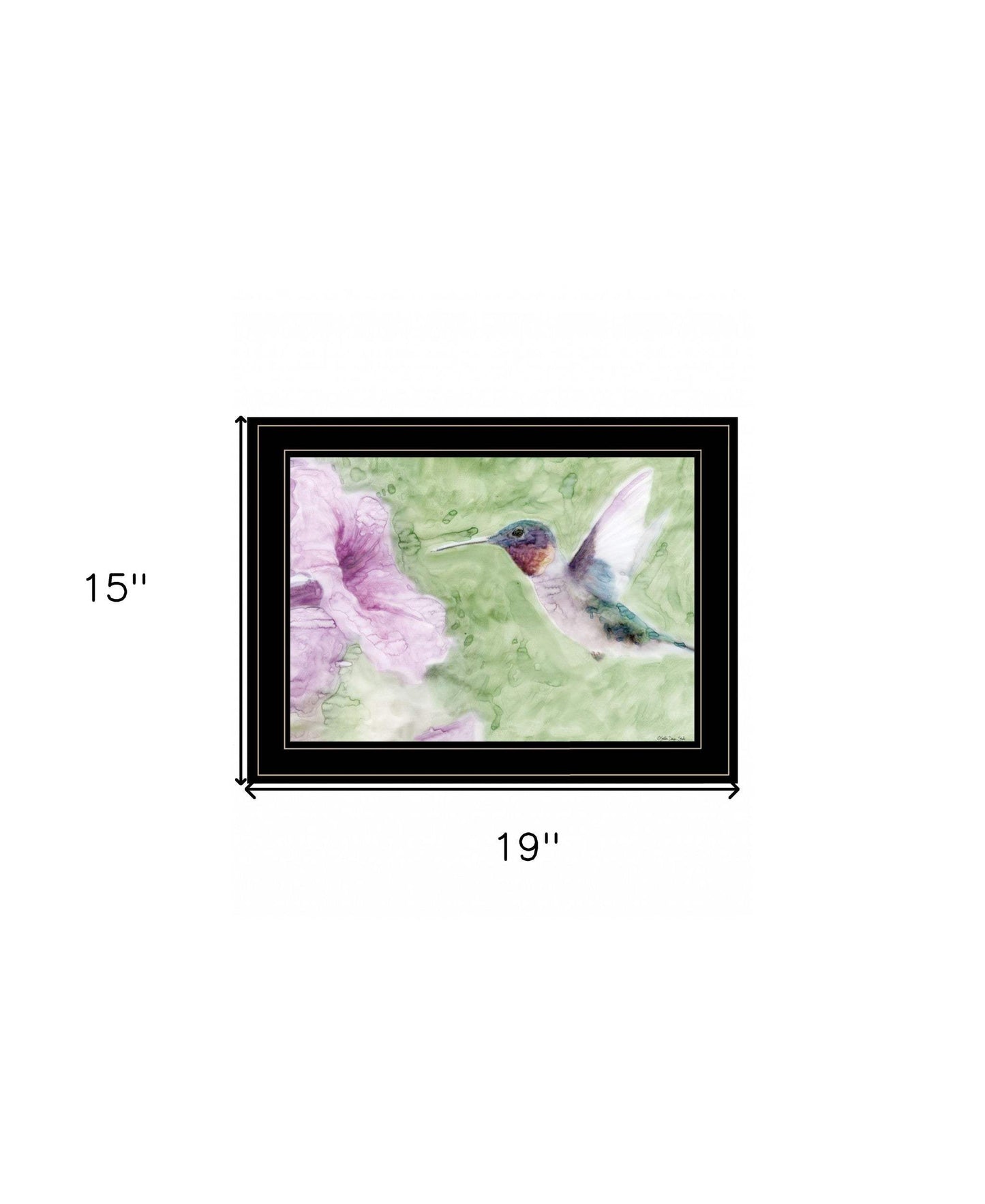 Humming Bird 2 Black Framed Print Wall Art - Homeroots - Flyclothing LLC