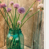 Set Of Two Country Sunflowers and Chives 1 White Framed Print Wall Art - Homeroots
