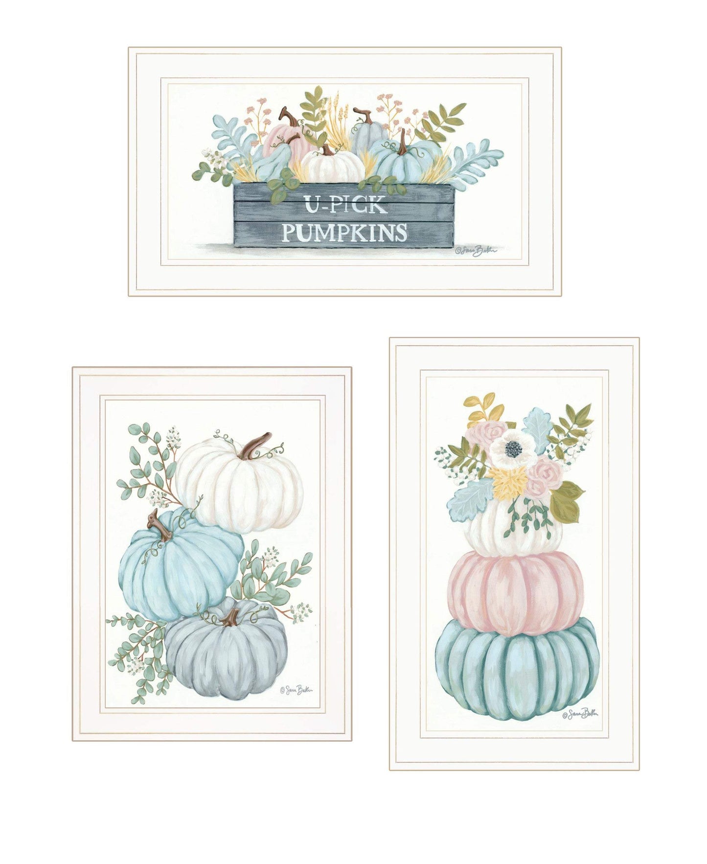 Set Of Three Floral Pumpkins 3 White Framed Print Wall Art - Homeroots - Flyclothing LLC