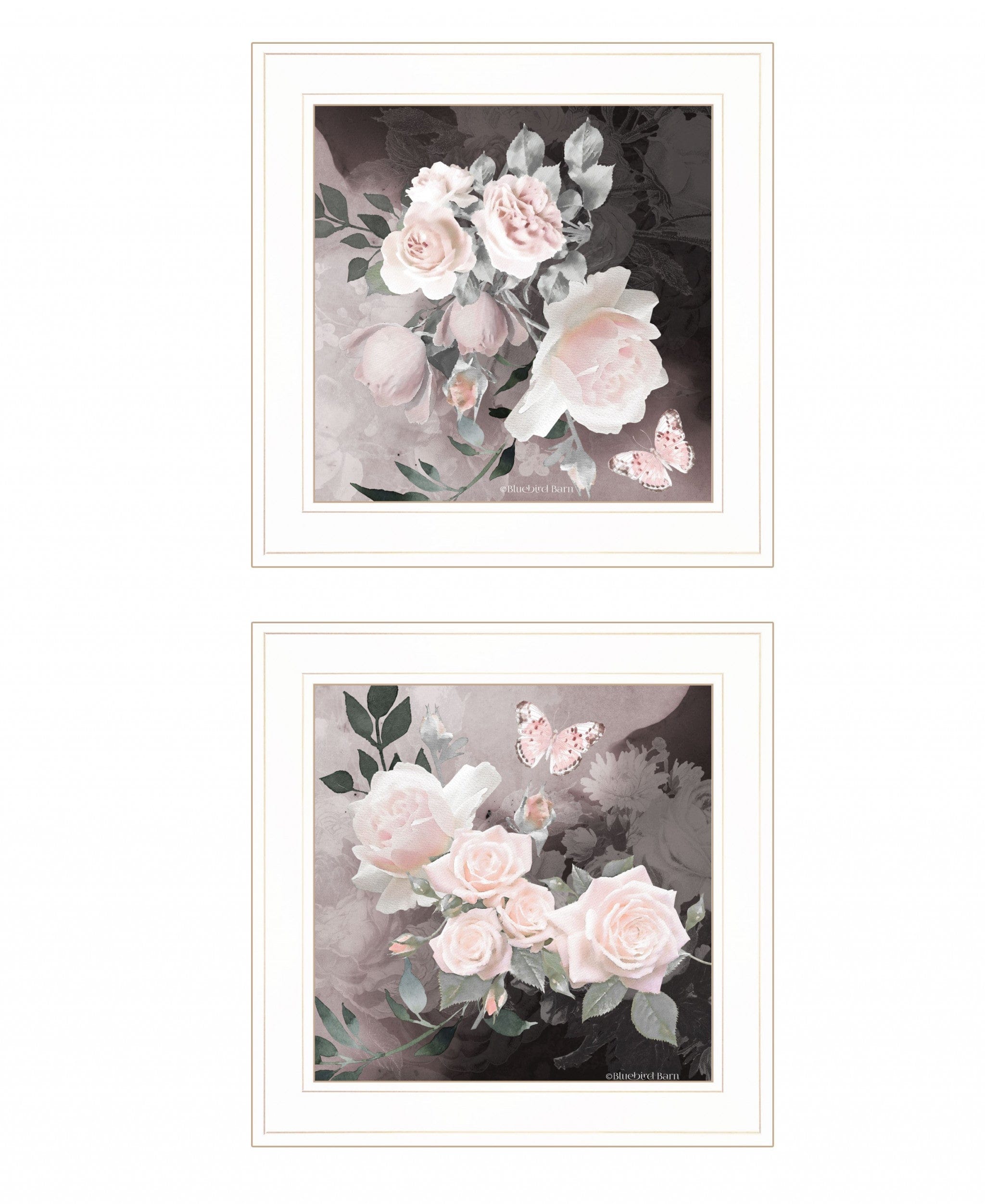 Set Of Two Noir Roses 1 White Framed Print Wall Art - Homeroots