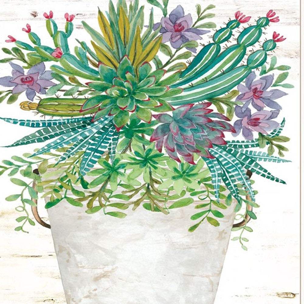 Set Of Two Succulents Dream and Believe White Framed Print Wall Art - Homeroots - Flyclothing LLC
