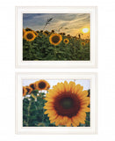 Set Of Two Midwest Living 1 White Framed Print Wall Art - Homeroots