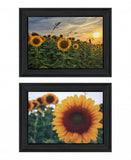 Set Of Two Midwest Living 2 Black Framed Print Wall Art - Homeroots
