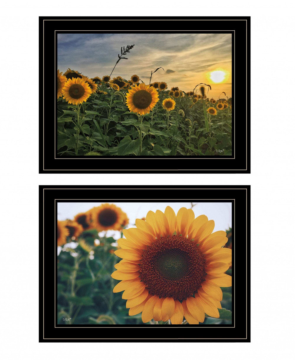 Set Of Two Midwest Living 3 Black Framed Print Wall Art - Homeroots - Flyclothing LLC