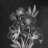 Set Of Two Black and White Flowers in Bloom White Framed Print Wall Art - Homeroots - Flyclothing LLC