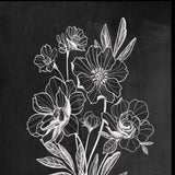 Set Of Two Vintage Flowers in Bloom Black Framed Print Wall Art - Homeroots - Flyclothing LLC