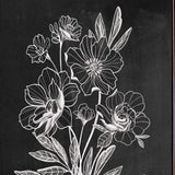 Set Of Two Vintage Flowers in Bloom Black Framed Print Wall Art - Homeroots - Flyclothing LLC