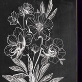 Set Of Two Vintage Flowers in Bloom Black Framed Print Wall Art - Homeroots - Flyclothing LLC