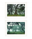 Set Of Two Enchanted Forest 1 White Framed Print Wall Art - Homeroots