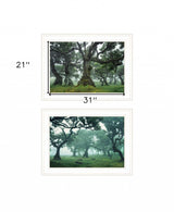 Set Of Two Enchanted Forest 1 White Framed Print Wall Art - Homeroots - Flyclothing LLC