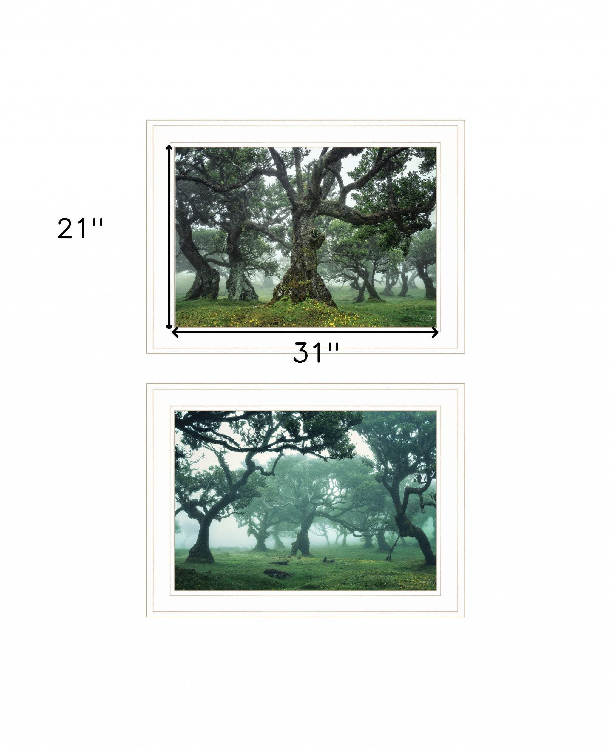 Set Of Two Enchanted Forest 1 White Framed Print Wall Art - Homeroots - Flyclothing LLC