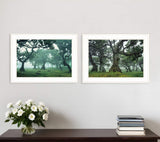 Set Of Two Enchanted Forest 1 White Framed Print Wall Art - Homeroots - Flyclothing LLC