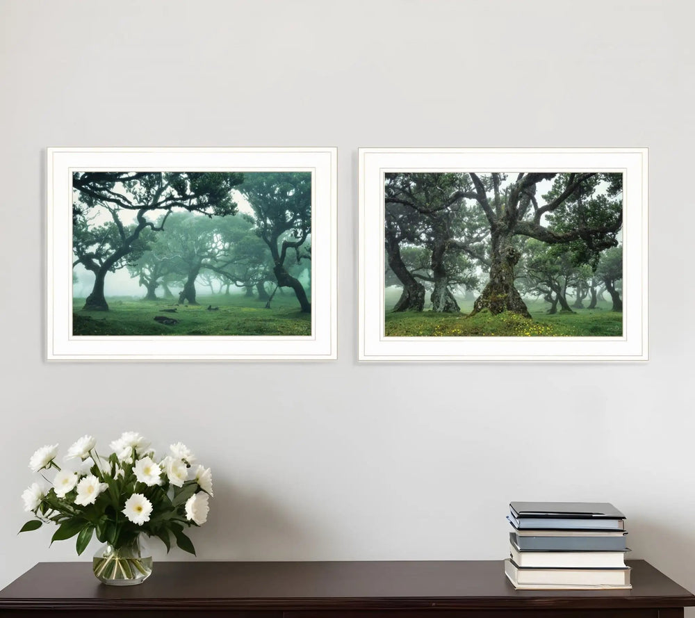 Set Of Two Enchanted Forest 1 White Framed Print Wall Art - Homeroots